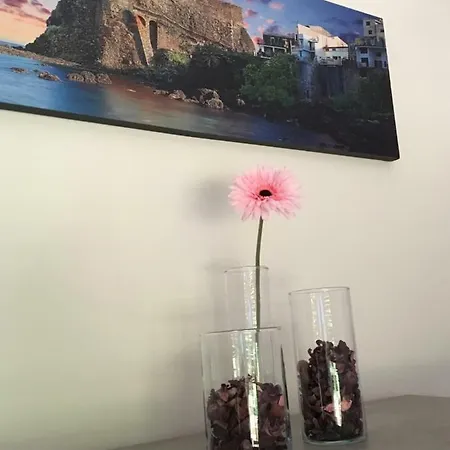 Casa Araucaria *